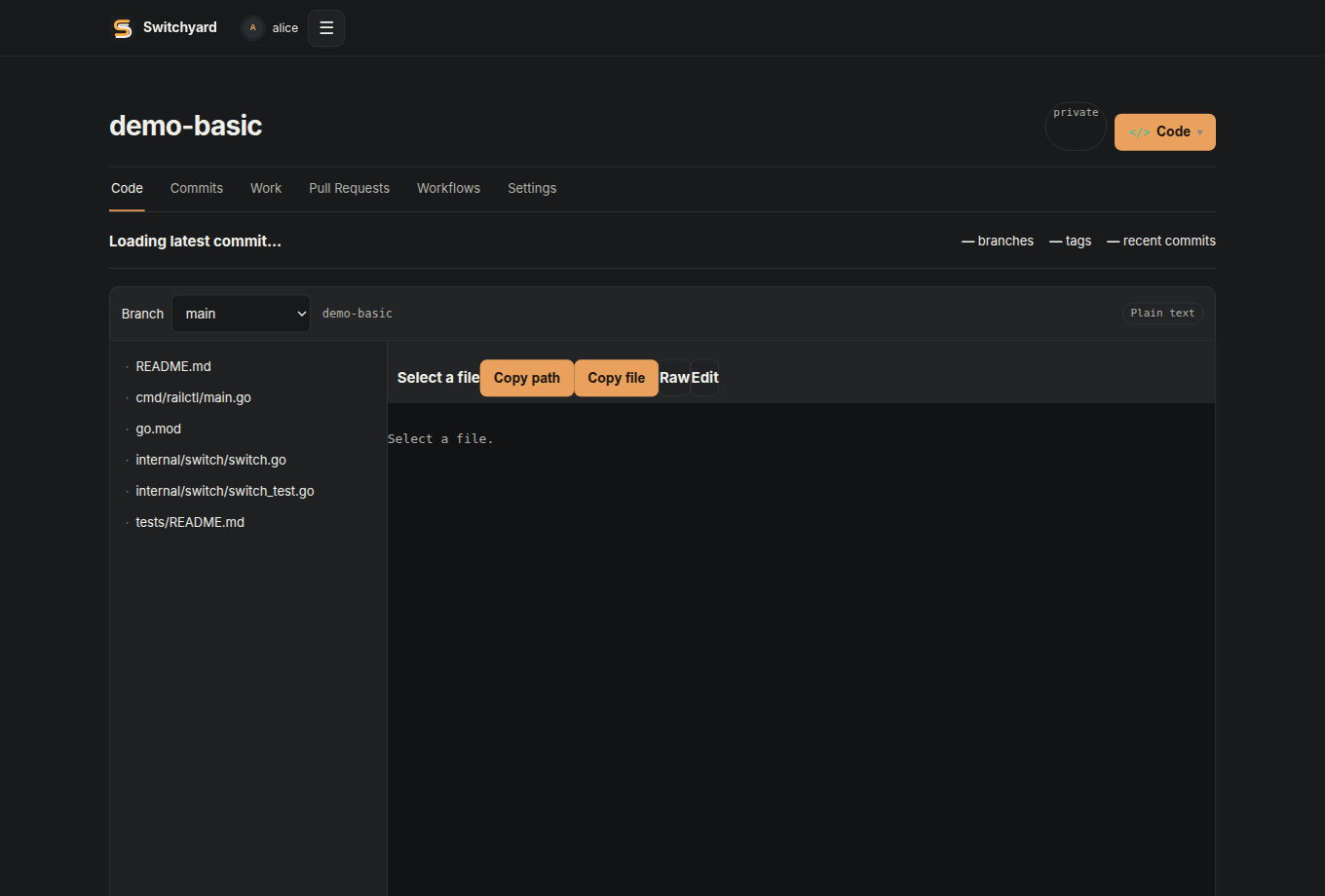 Switchyard repository interface
